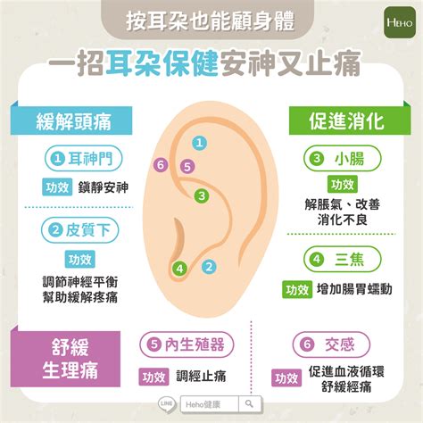 耳穴道|掌握「耳穴按摩技巧」，能有效改善三大常見症狀